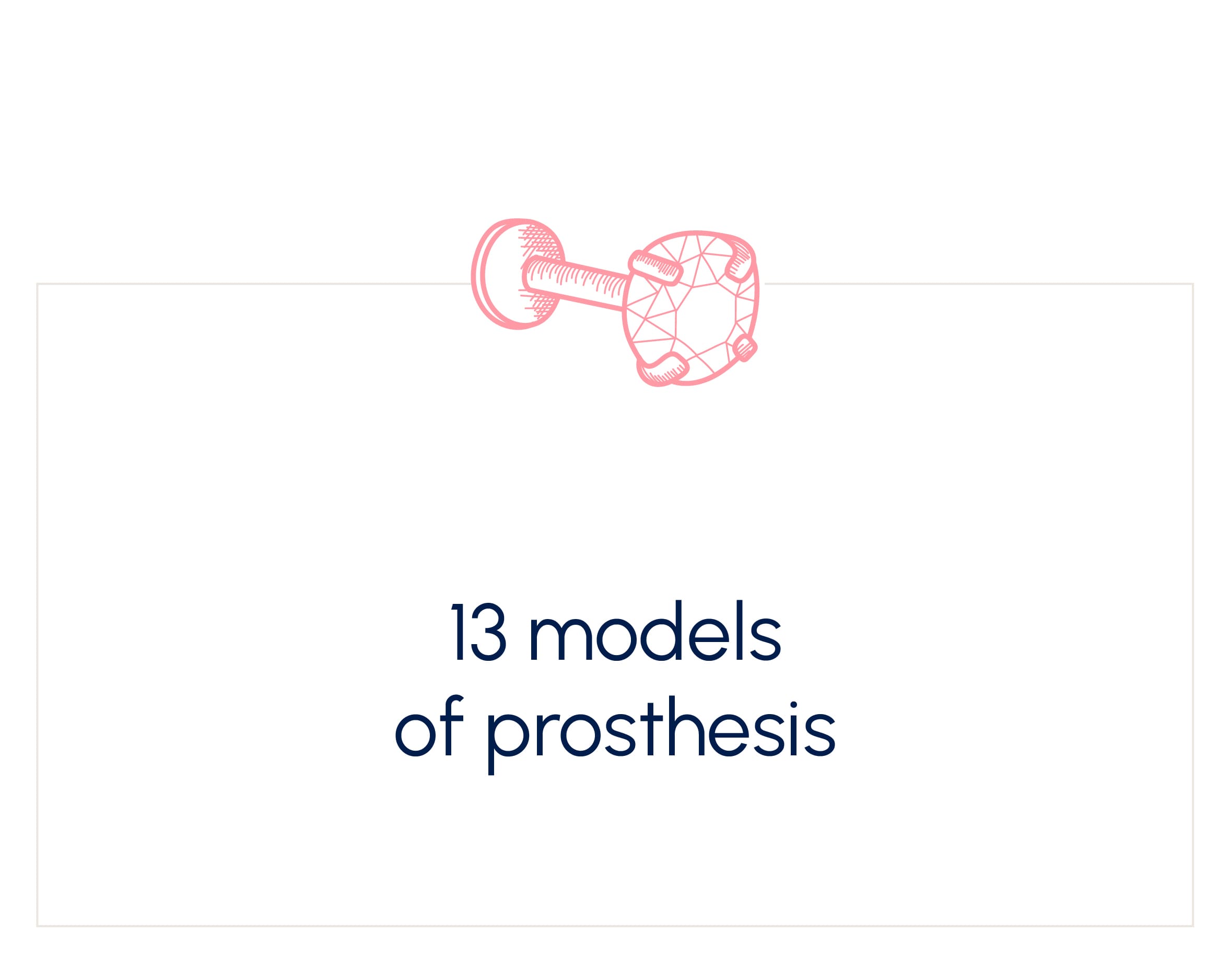 13 models of prosthesis